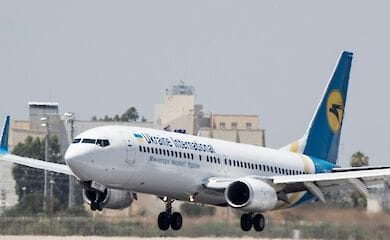 Правительство Канады запретило импорт щенков из Украины