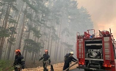 Выплатить компенсации пострадавшим от пожаров на Луганщине планируют в ближайшее время