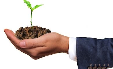 Экологии в Украине нанесли урон