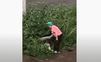 Російська пенсіонерка побила палицею пару, що шукала утіх у кущах