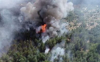 Пожары на Луганщине привели к миллионному ущербу 