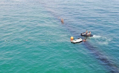 Дельфіни потрапили у пастку поряд із пляжем