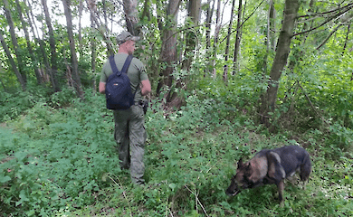 Под Винницей девушка застряла в лисьей норе. Ее нашли спустя трое суток