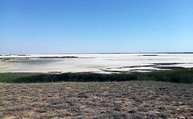 Джарилгач, Одеса, Вилкове. Досвід подорожей на південь