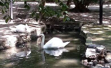 Джарилгач, Одеса, Вилкове. Досвід подорожей на південь
