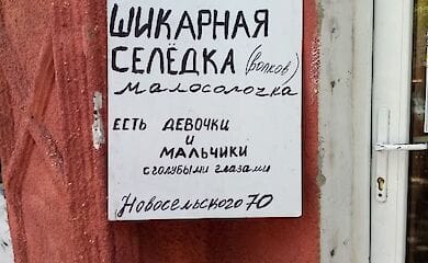 Джарилгач, Одеса, Вилкове. Досвід подорожей на південь