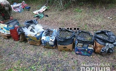Из Чернобыльской зоны пытались вывезти зараженные ягоды и грибы