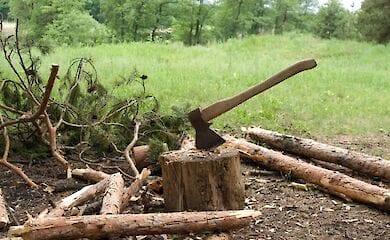 В Україні завдають збитків природі на мільйони гривень