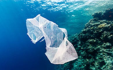 В Японские начали использовать разлагающиеся в морской воде пакеты