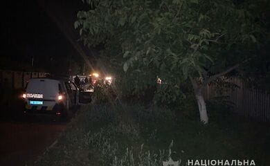 В селе Киевской области водитель сбил 6-летнюю девочку