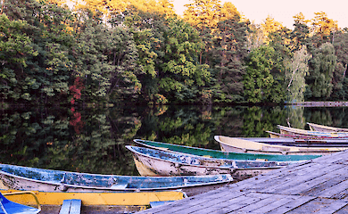 Як виглядають дитячі табори в Пущі-Водиці