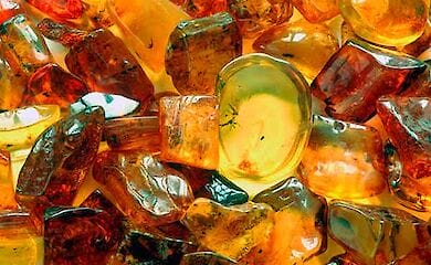 Ділянки з бурштином вже почали готувати до аукціону