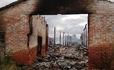 У Житомирській області під час пожежі загинули 30 козенят