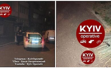 На Беличах от рук неизвестного погибли дворовые коты