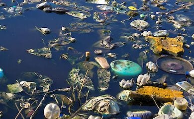 Госэкоинспекция проинспектировала побережья карпатских рек