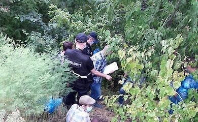 Под Киевом задержали 15-летнего мальчика, который задушил 12-летнюю подружку