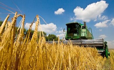 80% фермерів, які постраждали від посухи в Одеській області, реструктуризували кредити