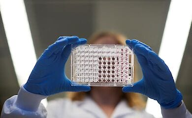 Сінгапур оголосив про клінічні випробування вакцини від COVID-19