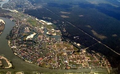 Конча-Заспа оказалась на карантине из-за бешенства