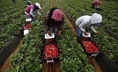 До Польщі повертаються українські працівники