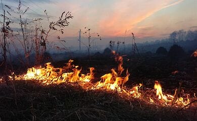 В Україні надзвичайний рівень пожежної небезпеки