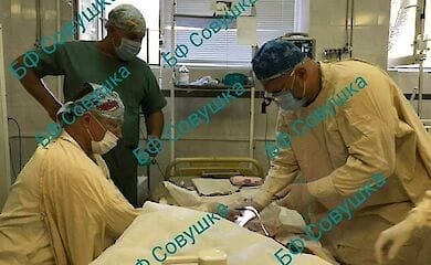 В Донецкой области двухлетнего ребенка искусали овчарки. Мальчик в реанимации