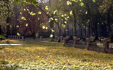 В Киеве появится 18 новых скверов и один парк