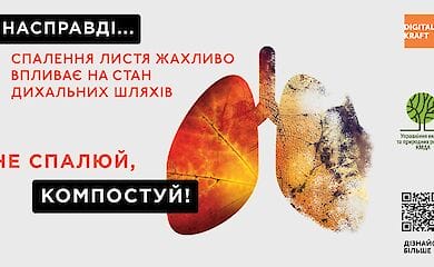 Какой штраф ждет тех, кто сжигает листья, - отвечает КМДА