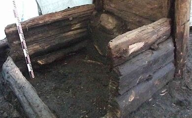 ДНК из средневековых общественных туалетов поможет изучению современных болезней