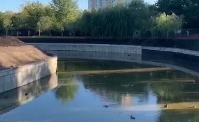 В киевском парке "Отрадный" восстановят озеро