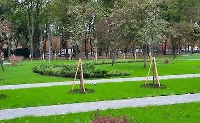 В парке "Юность" на Борщаговке провели озеленение