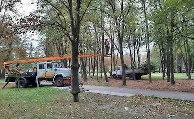 В парке "Юность" на Борщаговке провели озеленение
