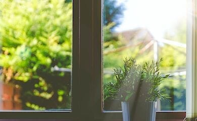 Немецкие специалисты рекомендуют простой способ борьбы с коронавирусом