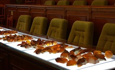 В Україні відбувся перший аукціон бурштину