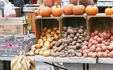 На выходных в Киеве пройдут осенние продуктовые ярмарки