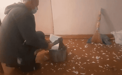 Видео: погасили бюллетень топором