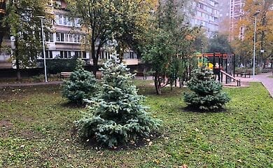 На Лукьяновке обновили сквер