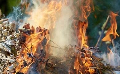 Страну окутал дым костров из опавших листьев