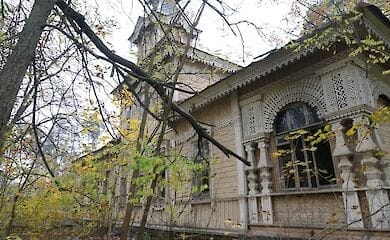 В Пуще-Водице пытались поджечь старинную дачу
