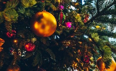 Замість традиційної зони на Софійській площі в центрі Києва прокладуть новорічний казковий маршрут з трьома ялинами