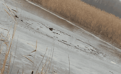 На Дніпропетровщині з води дістали тіла двох чоловіків