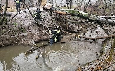 В Голосеевском районе Києва в пруду утонул мужчина
