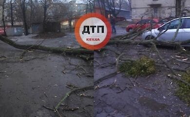 На Борщаговке упали деревья: пострадало авто