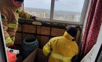 У Дніпрі на балконі житлового будинку виявили півтисячі кажанів