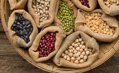 Обработка семян: основные способы