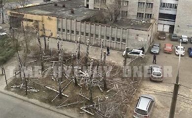 Мэр Днепра пообещал наказать тех, кто вырубил березовую рощу в городе