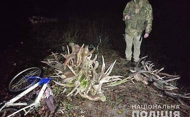 В зоне ЧАЭС поймали мужчин, которые пытались вынести из зоны отчуждения рога диких животных