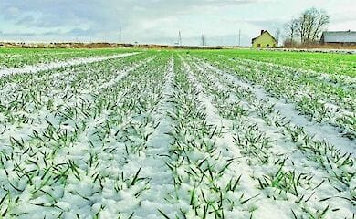 Авторы анализа информацию опровергли