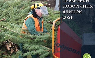 Адреса 15 локаций экологической утилизации елок
