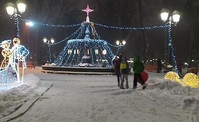 Фонтан в Мариинском парке превратился в елку